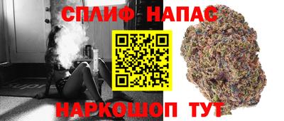 стаф Бузулук