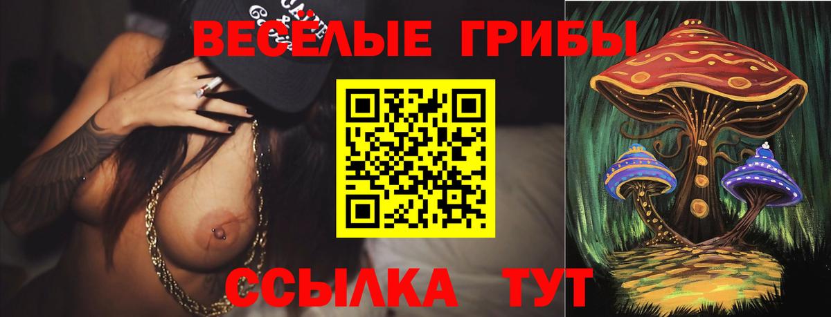 Псилоцибиновые грибы Magic Shrooms Махачкала